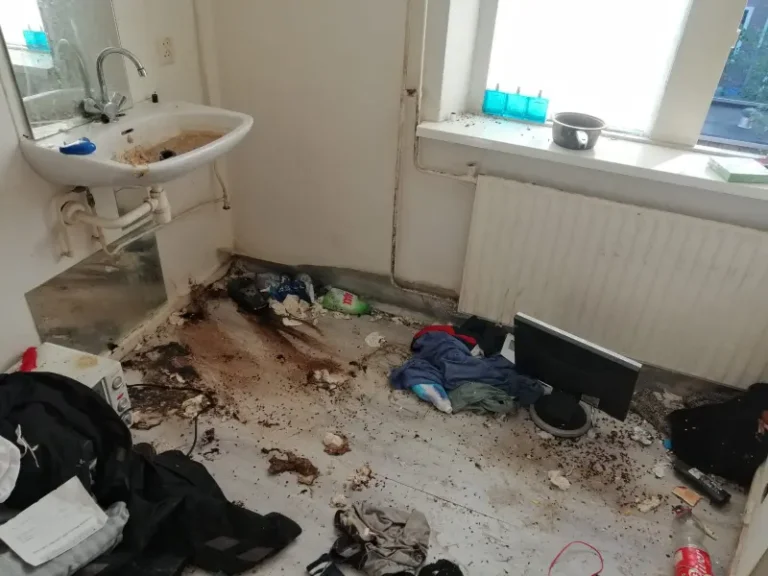 Schoonmaak na lijkvinding