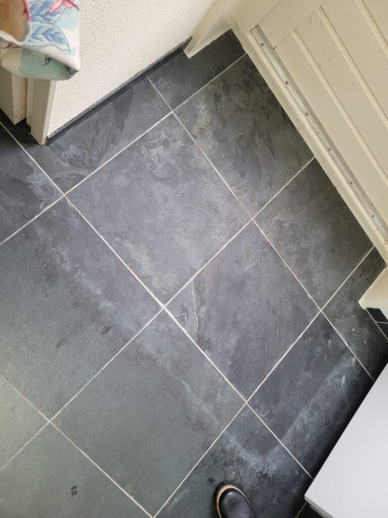 Kattenurine verwijderen